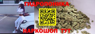 apvp Краснокаменск