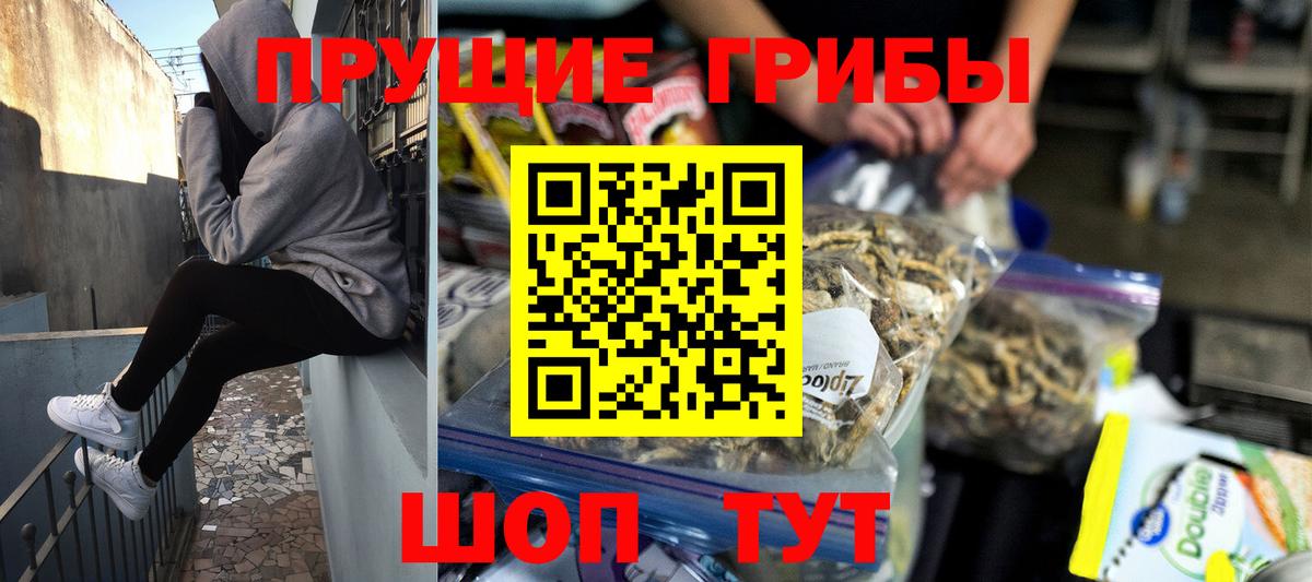 Среднеуральск  Псилоцибиновые грибы Psilocybe  Галлюциногенные грибы Psilocybe  Вход с VPN 